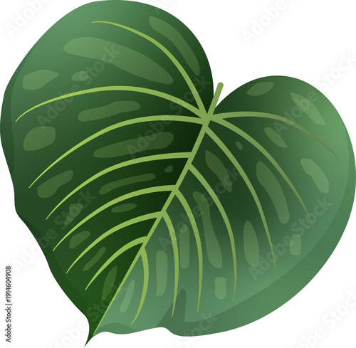 Green Leaf Isolated on Transparent Background PNG Decorative Summer Nature