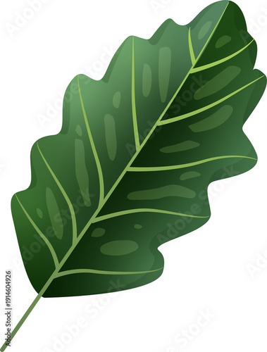 Green Leaf Isolated on Transparent Background PNG Decorative Summer Nature