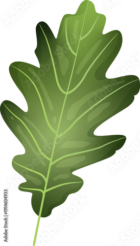 Green Leaf Isolated on Transparent Background PNG Decorative Summer Nature