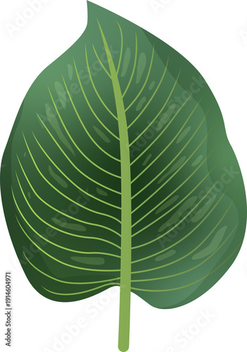 Green Leaf Isolated on Transparent Background PNG Decorative Summer Nature