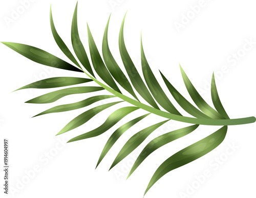 Green Leaf Isolated on Transparent Background PNG Decorative Summer Nature