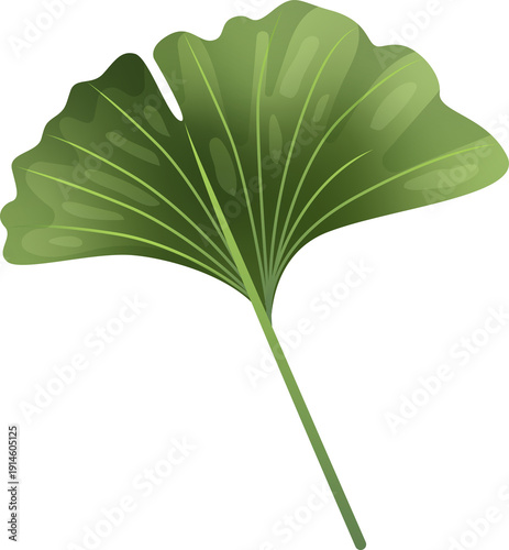 Green Leaf Isolated on Transparent Background PNG Decorative Summer Nature