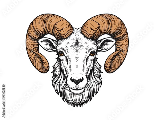 Stylized head of a ram with large curving horns, detailed lines and white background