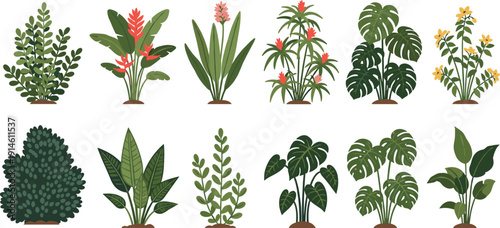 Large Collection of Colorful Tropical Houseplant Illustrations Featuring Monstera Palm Fern and Flowering Indoor Plants for Botanical Home Decor Graphics and Nature Themed Projects