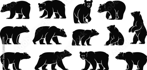 Bear silhouette collection in different poses, black wild animal vector set isolated on white background for wildlife design and nature illustration.