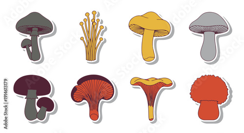 Stylized Collection of Various Wild and Cultivated Mushrooms in a Modern Graphic Style with Subtle Drop Shadows on a Dark Field