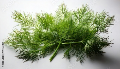 Fresh Dill Herb - A Vibrant Green Culinary Delight on White.