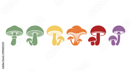 Colorful Mushroom Shapes Arranged Horizontally Showcasing Various Fungi Types in a Natural Collection