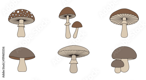 Stylized Earthy Brown and Cream Colored Mushrooms Displaying Various Caps Prominent Gills and Natural Organic Shapes