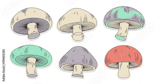Collection of Six Stylized Hand drawn Fungi with Various Colored Caps on a Dark Background