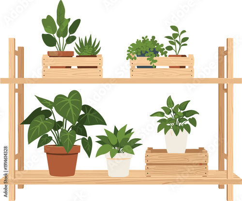 Potted indoor houseplant collection on a wooden shelf with various green foliage plants and wooden crates for home interior decor and botanical nature illustrations. (25 words)