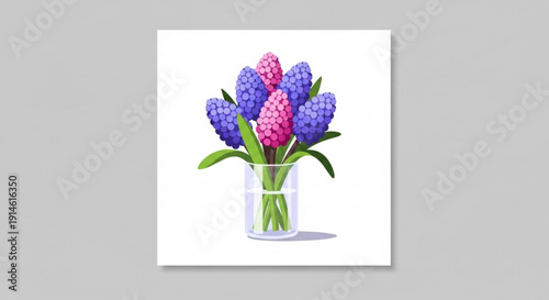 Colorful hyacinth flowers in a glass vase on white background
