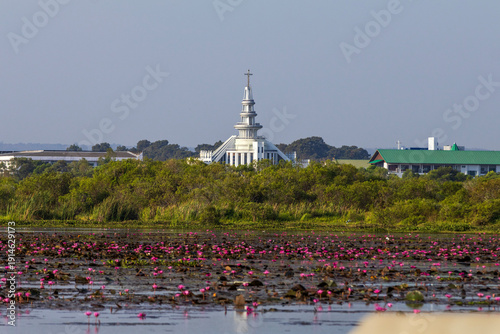 Pink Lotus Blooming Across Nong Han Lake with Saint Joseph School Church in Sakon Nakhon, Thailand
