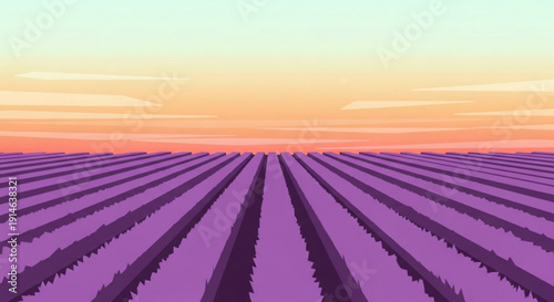 Vibrant purple lavender field rows at serene sunset with gradient sky and soft clouds