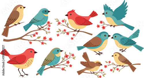 Professional collection of colorful hand-drawn birds perched on blooming cherry blossom branches in vibrant teal, red, and brown tones for nature and spring design