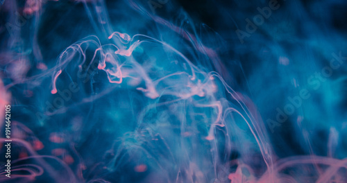 Wallpaper Mural Defocused fog fluid. Ink haze. Blue pink color dye dripping in water stream. Abstract swirl vapor glow curl floating on black background. Torontodigital.ca