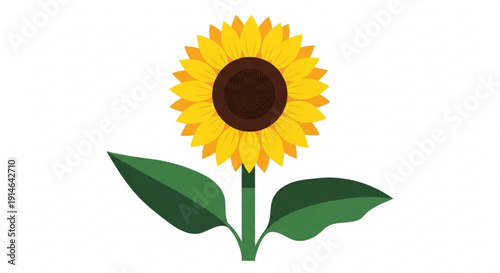 Vibrant sunflower illustration with bright yellow petals and dark brown center on white background