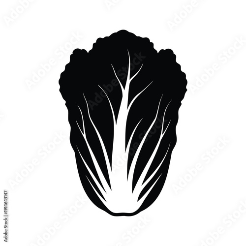 Silhouette of a leafy vegetable intricate details, perfect for culinary designs, vector illustration, napa cabbage silhouette vector illustration