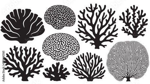 Collection of abstract coral silhouettes in black and gray against white background.
