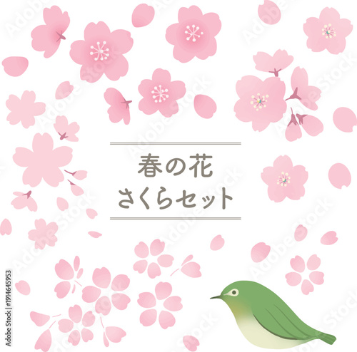 桜の花とメジロのイラストセット　春の和風ベクター素材集