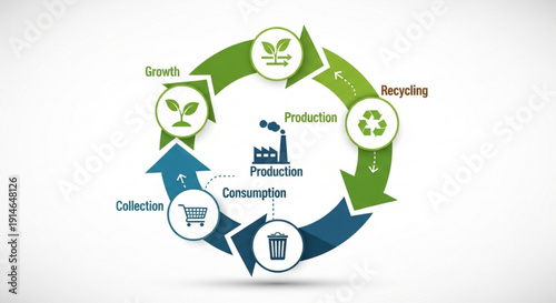 Sustainable product life cycle infographic showing growth recycling production consumption and collection processes in circular flow diagram