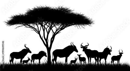 Silhouette of Wildebeest Herd Under Acacia Tree in African Savanna.