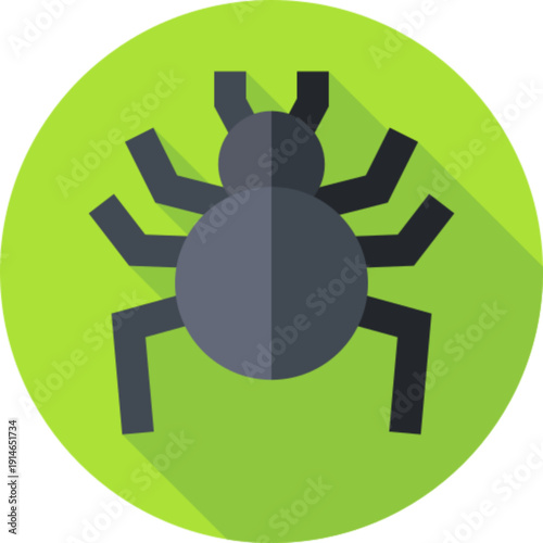 A spider for nature and halloween concepts