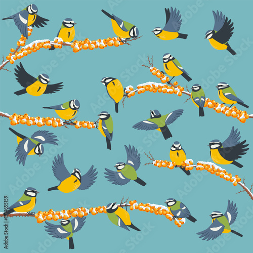 vector drawing birds, blue tit at sea buckthorn branch with berries and snow in winter, hand drawn wildlife illustration