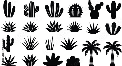 Cactus and desert plant silhouettes vector set, succulents, agave, aloe and palm tree icons collection, arid landscape flora, black and white illustrationCactus and desert plant 