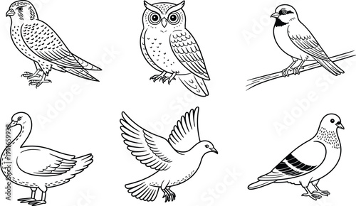Hand drawn bird outline collection featuring owl, pigeon, sparrow, duck, falcon, flying dove, minimal line art wildlife vector set