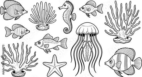 Hand-drawn vector collection of marine life: tropical fish, seahorse, jellyfish, coral, starfish and shells, ocean reef illustrations, nautical coloring pages, editable clipart