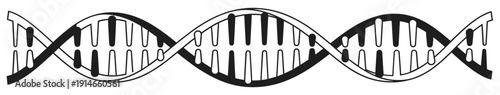 Intricate black and white vector illustration of a fundamental DNA double helix structure, symbolizing genetics, heredity, scientific research, and biological discovery for modern molecular concepts