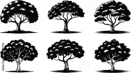 Tree silhouette vector set with different leafy canopies, natural forest trees for landscape design and eco illustration