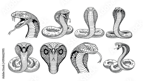 Cobra Snake Line Art Vector Illustration