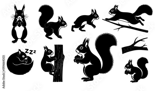Black Silhouette Squirrels in Various Poses on White Background