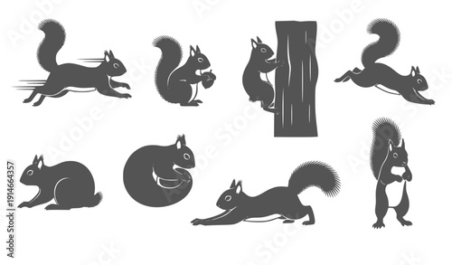 Squirrel Silhouettes: Collection of Woodland Creatures in Various Poses, Graphic Icons