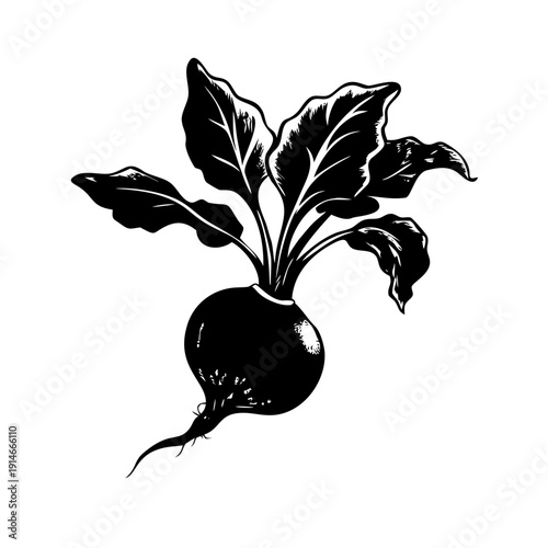Beetroot Vegetable Vector Silhouette Icon