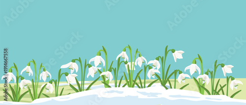composition with spring flowers, snowdrops, vector drawing flowering wild plants at blue background, floral border, hand drawn botanical illustration