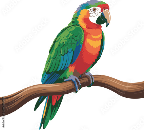 Colorful Parrot Vector – Tropical Bird Illustration