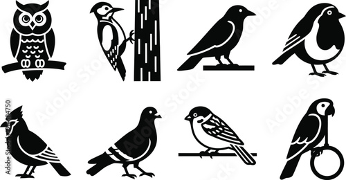 Set of bird icons including owl, woodpecker, crow, robin, cardinal, pigeon, sparrow, and parrot, flat black vector silhouettes isolated on white background for logo and graphic design