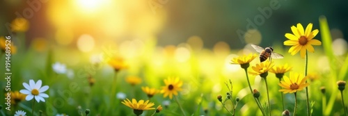 Sunlit meadow teeming with buzzing insects and blooming flowers , pollinators, green
