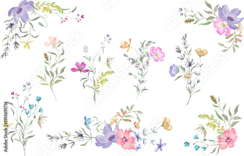 
Watercolor Wildflower Frames & Bouquets Collection. Hand drawn illustration. Vector EPS.