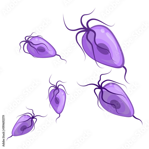 Trichomonas Vaginalis Parasite
