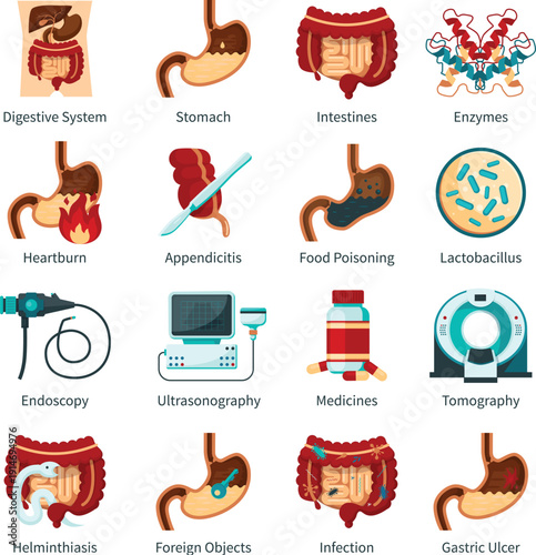 Realistic cartoon heart brain kidney and lung organ set vector