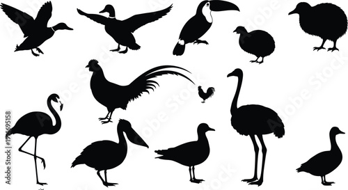 Set of fifteen black bull moose silhouettes featuring various standing poses and head profiles with large antlers isolated on white background for wildlife design