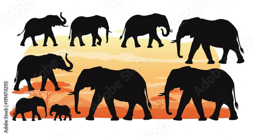 Group of Elephants Silhouettes Walking Together.