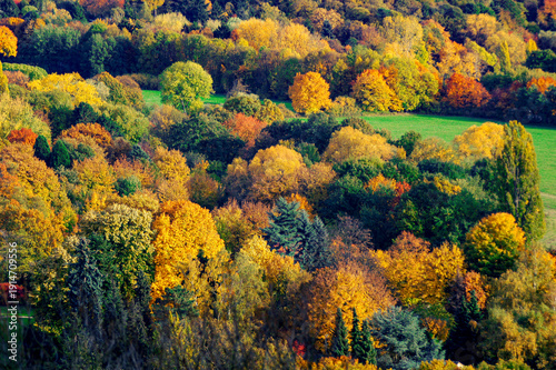 Übersicht über die bunt verfärbten Baumkronen eines Mischwaldes im Herbst bei klarer Sicht und schönem Wetter
