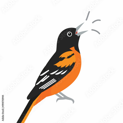 Baltimore Oriole Singing
