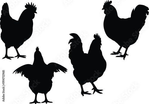 Silhouette illustration of four chickens in different postures, including wings spread and upright stances, isolated on white background for poultry farming, logo, and educational design concepts.