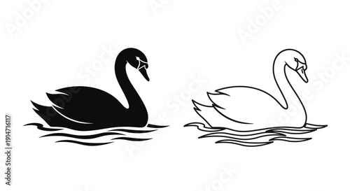 Black and white swan illustration, vector art of swans swimming on water Vector